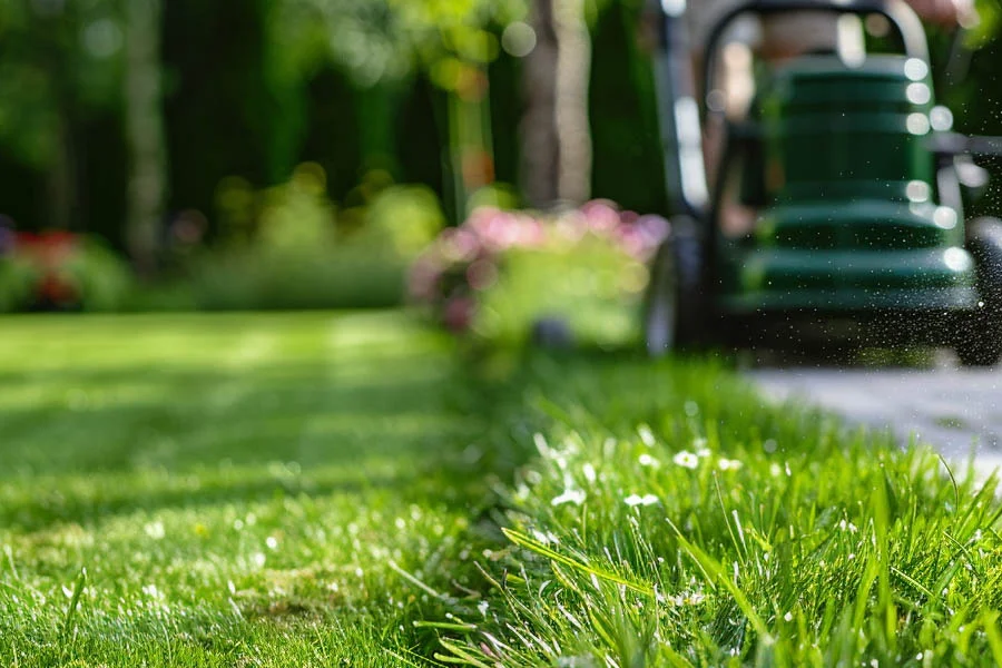 best battery-powered lawn mower for small yard